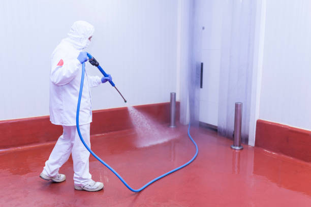 Best Solar Panel Cleaning  in Reisterstown, MD