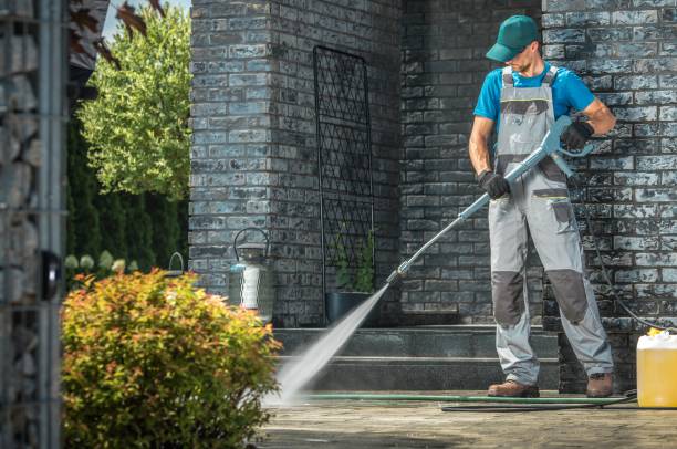 Animal Enclosure Cleaning in Reisterstown, MD