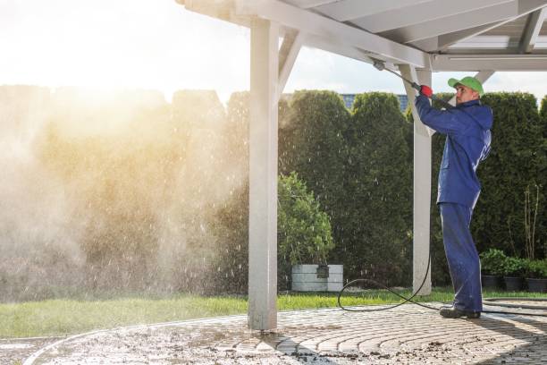 Best Roof Washing  in Reisterstown, MD