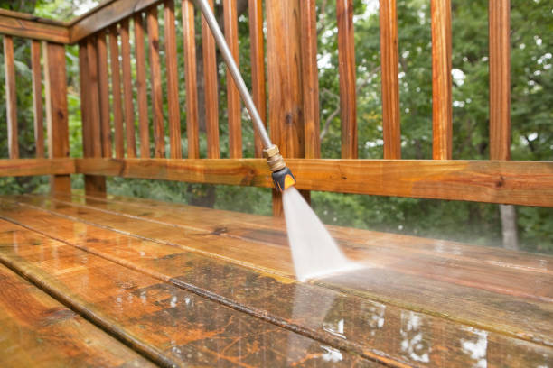 Best Dumpster Area Cleaning  in Reisterstown, MD