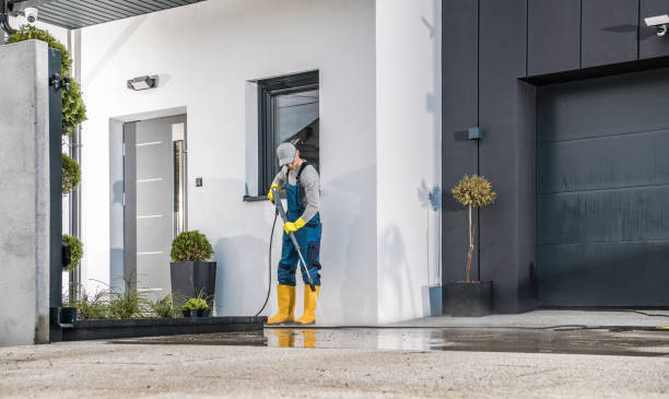 Best Spring Cleaning  in Reisterstown, MD